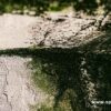 新諾朝滲漏水處理：高效防水，安心無憂