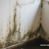 牆身發霉、地板回潮？新諾朝全屋防水檢測，濕氣源頭一次解決！