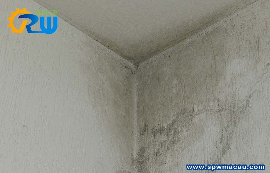 內牆滲水反覆出現？新諾朝無損檢測，找出暗管漏點根源修復！