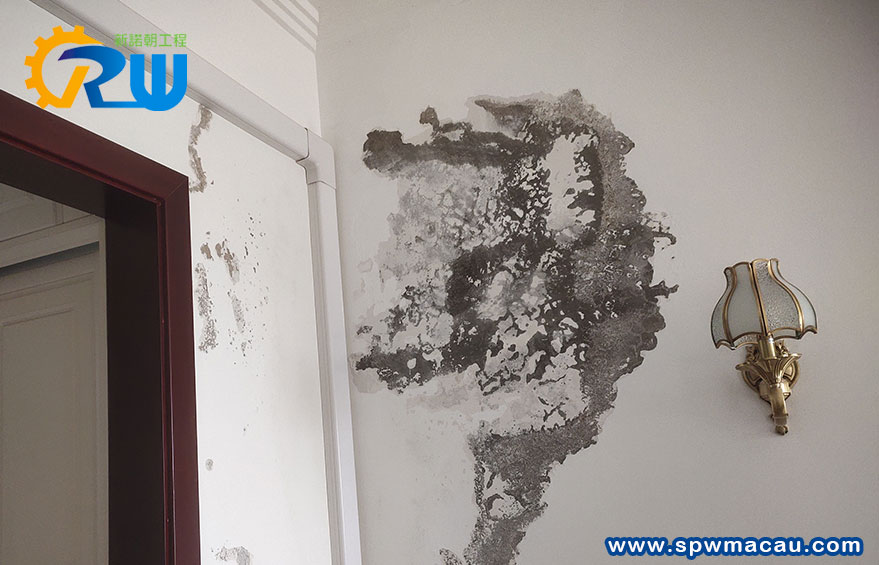 解決澳門家居滲水頑疾！從根源鎖定7大漏水元兇，一站式工程方案助您重享乾爽！