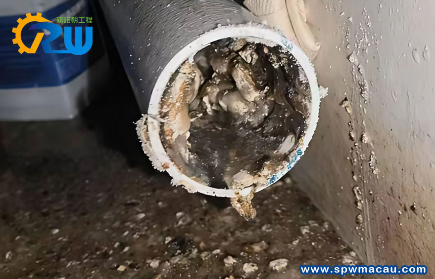 【家居排水救星】澳門常見三種渠道淤塞原因全解及通渠秘笈！