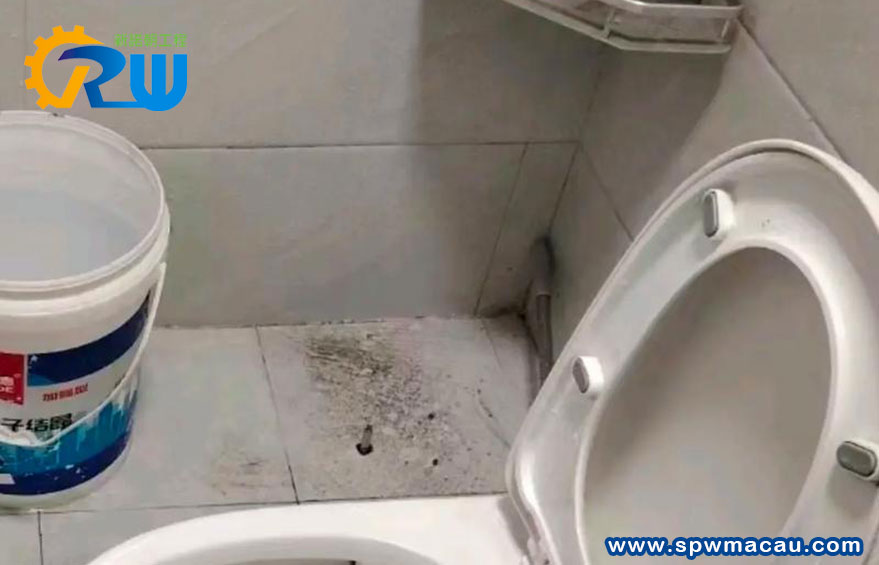 廁所漏水？新諾朝工程為您揭示4大隱藏危機與專業解決方案！