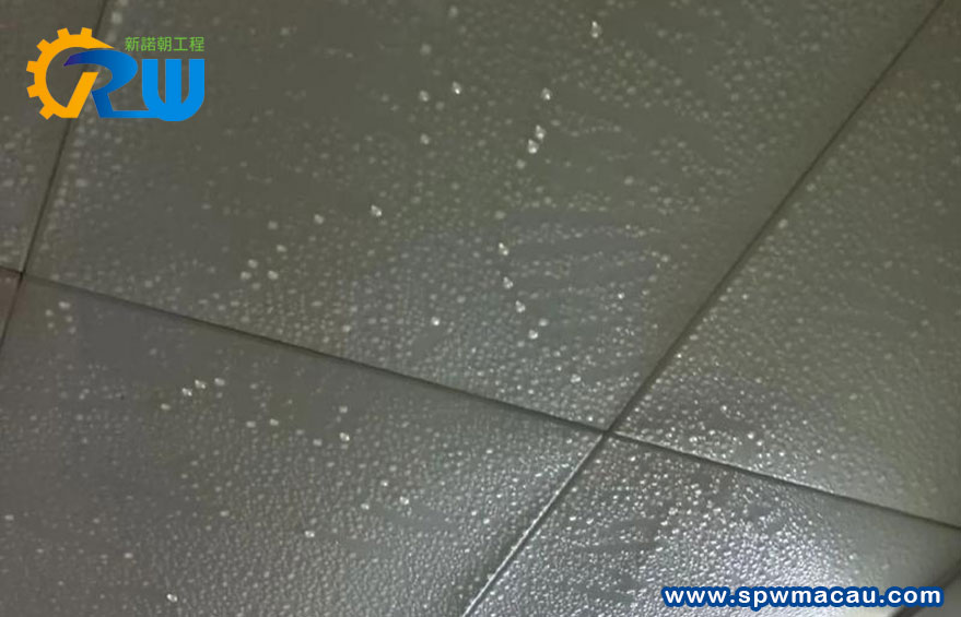 天花板漏水等於「漏財」！新諾朝工程：精準解決滲漏，為您守護物業價值！