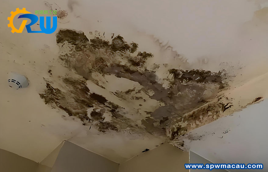 澳門樓宇「漏水黑點」大解密：屋頂防水工程，延長您的物業壽命與價值！