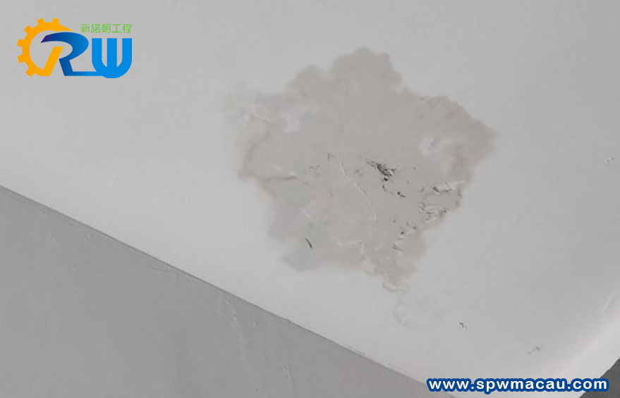 【澳門必看】天台、浴廁滲水點算好？