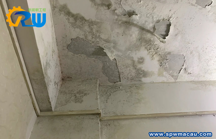 澳門防水工程專家教路：新諾朝教您如何杜絕滲漏煩惱！