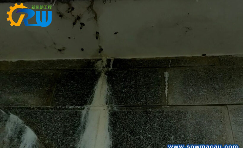 澳門獨享！新諾朝工程教您識破外牆防水陷阱，守護您的物業價值！