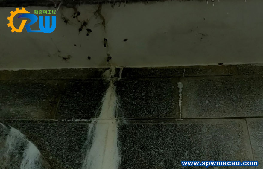 澳門獨享！新諾朝工程教您識破外牆防水陷阱，守護您的物業價值！