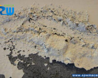 內牆滲水不再是「宿命」！新諾朝工程教您如何「由源頭」徹底杜絕壁癌！