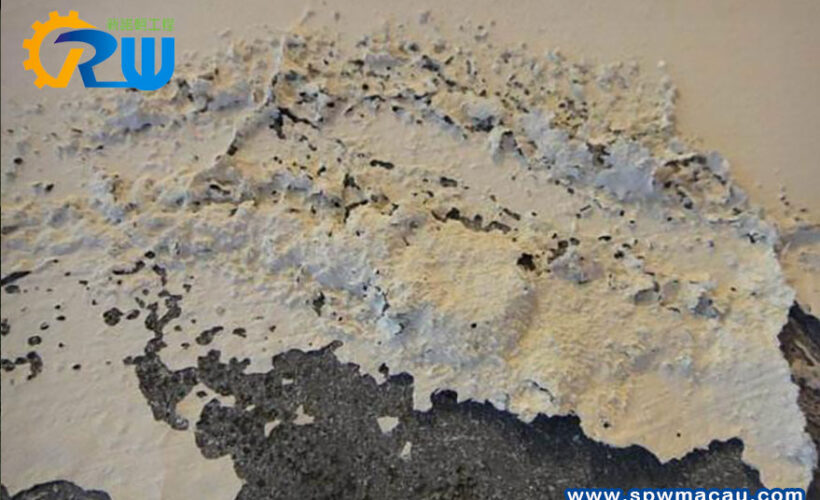 內牆滲水不再是「宿命」！新諾朝工程教您如何「由源頭」徹底杜絕壁癌！