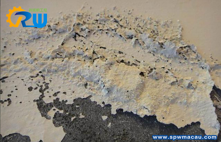 內牆滲水不再是「宿命」！新諾朝工程教您如何「由源頭」徹底杜絕壁癌！